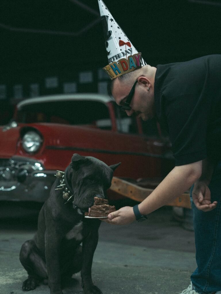 curso online de repostería canina profesional