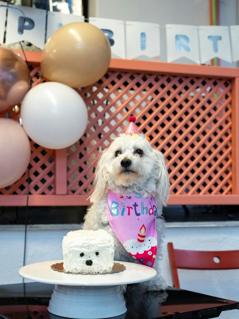 recetas saludables para mascotas emprendimiento